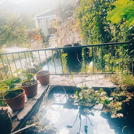 Gite Et Jardin En Bord De Riviere Saumane Exterior photo