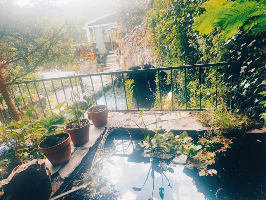 Et Jardin En Bord De Riviere Apartment *