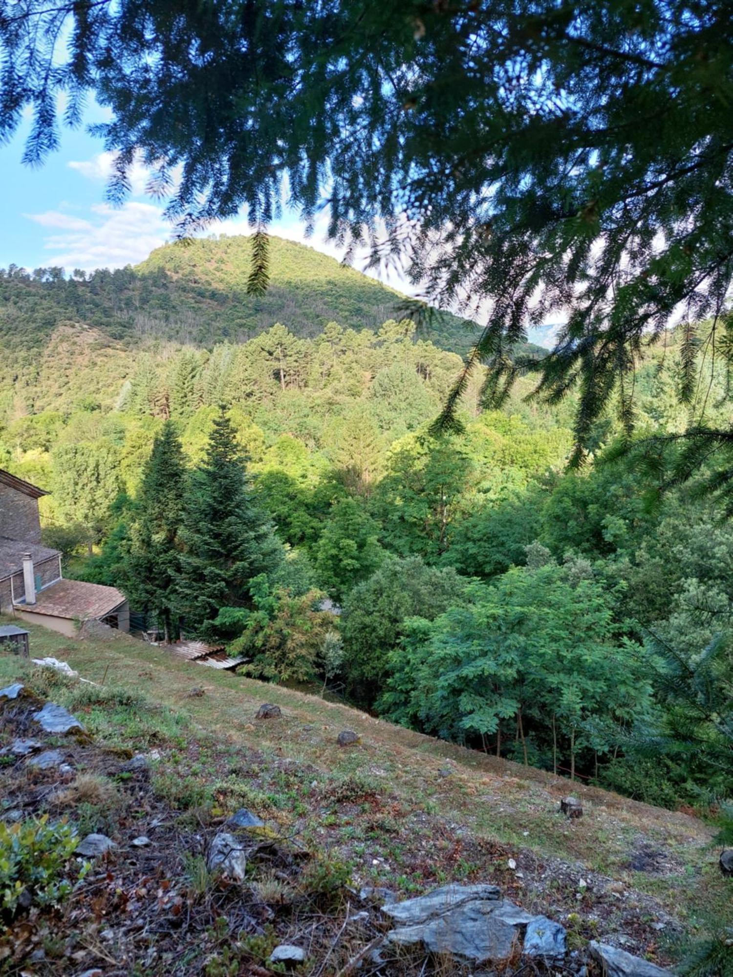 Et Jardin En Bord De Riviere Saumane